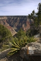 USA_AZ Grand Canyon_North (2)